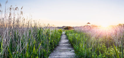 "Your Word is a lamp to guide my feet, and a light for my path."
